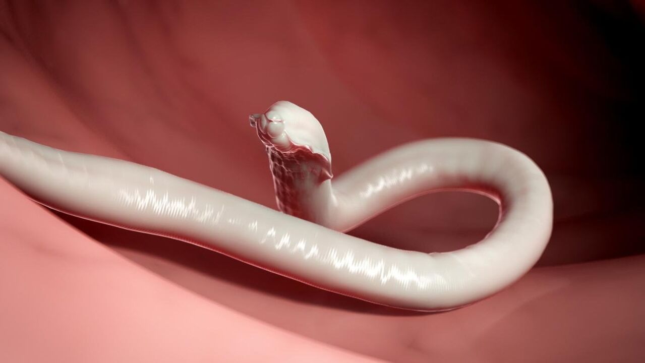 verme parasita de humanos