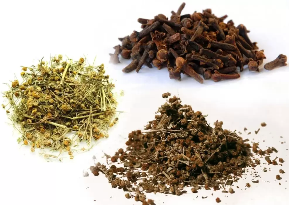 ervas para remover parasitas