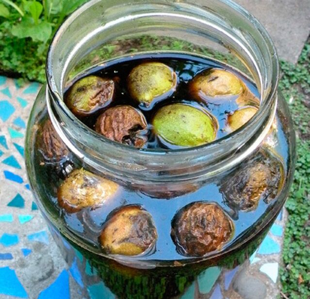 infusão de nozes verdes contra parasitas