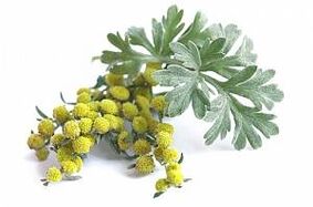 extrato de absinto em NEOflorax