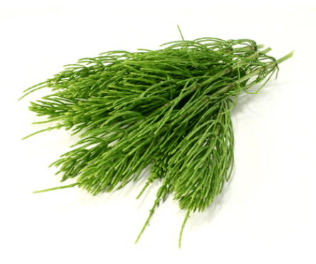 extrato de cavalinha em NEOflorax